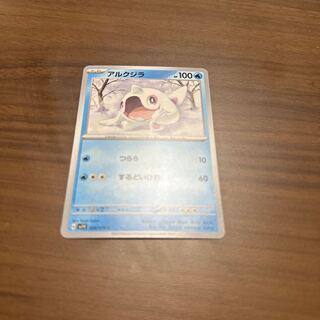 North Pacific right whale (Eubalaena japonica)