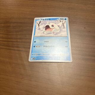 North Pacific right whale (Eubalaena japonica)