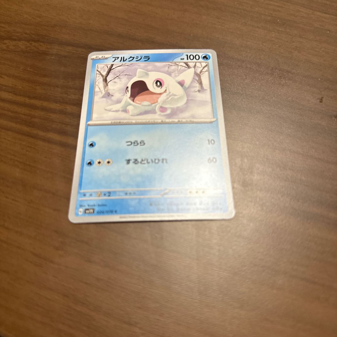 North Pacific right whale (Eubalaena japonica)