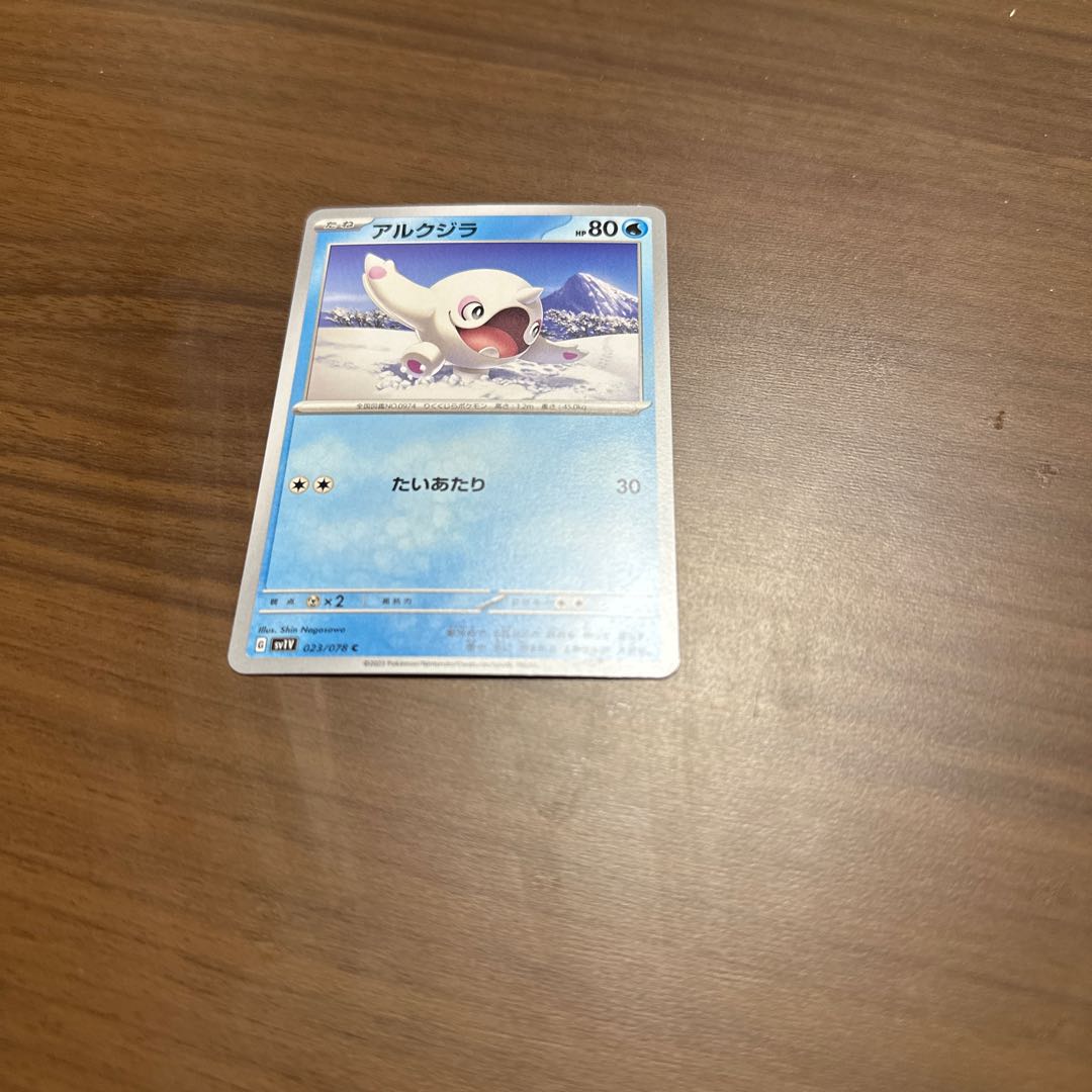 North Pacific right whale (Eubalaena japonica)