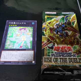 【パック付】 六花聖ストレナエ SR