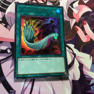 ハーピィの羽根帚 UR