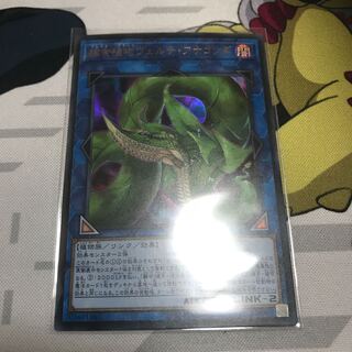 捕食植物ヴェルテ・アナコンダ