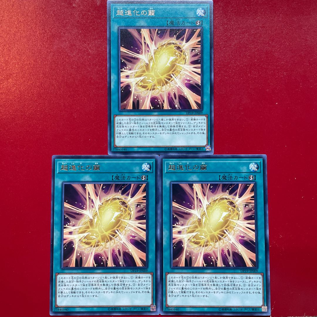 遊戯王 超進化の繭【DP19】字レア レア 3枚セット