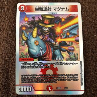 Single shot magnum 9/18