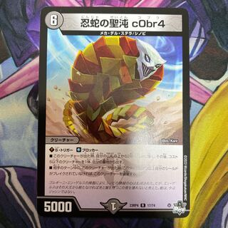 忍蛇の聖沌 c0br4 R 17/74