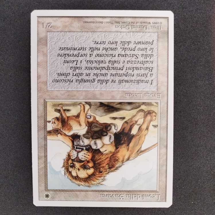 Savannah Lions IT Edition