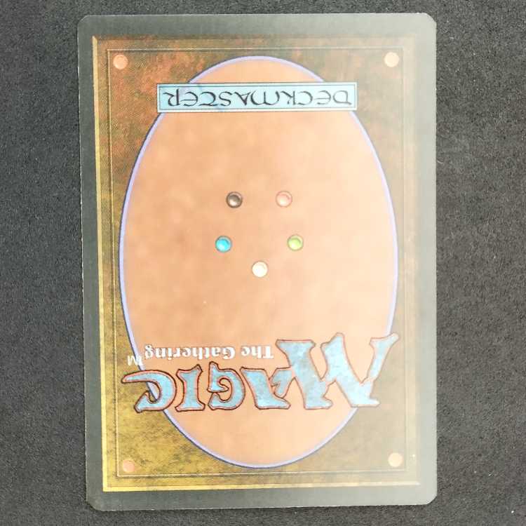 Savannah Lions IT Edition