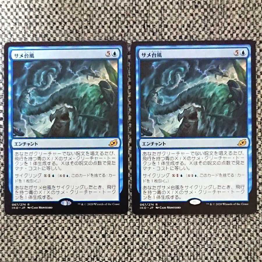 [IKO]サメ台風 2枚セット。