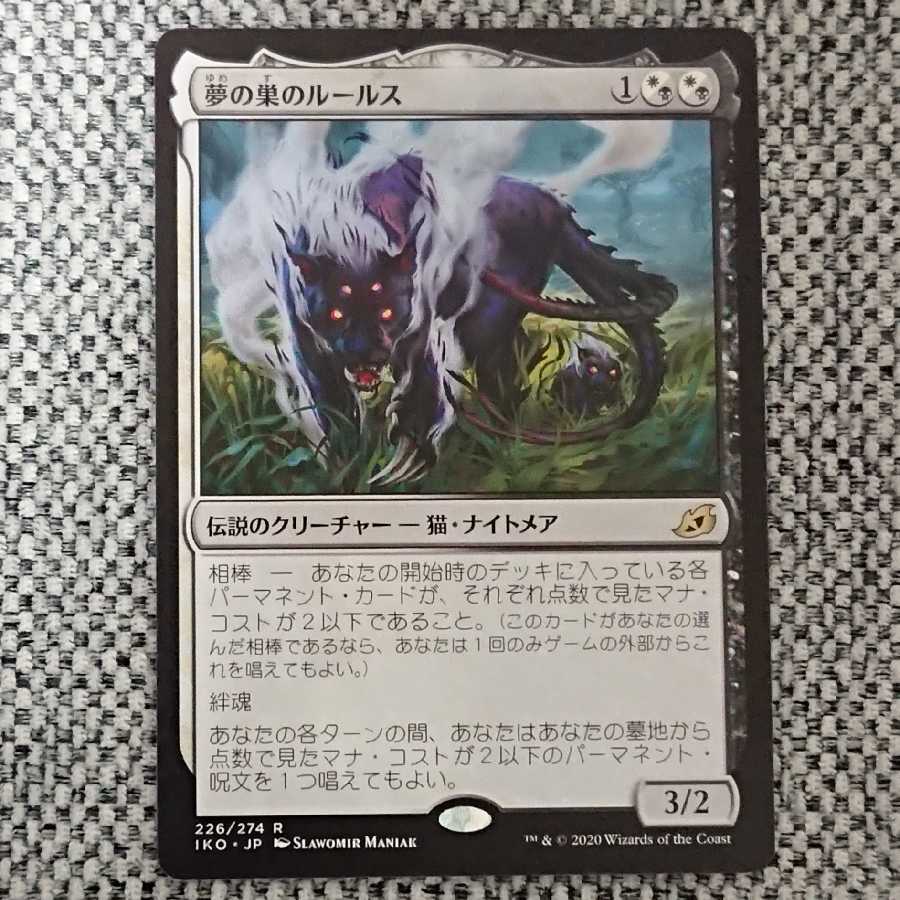 [専用]巨大ゴキブリ様 夢の巣のルールス