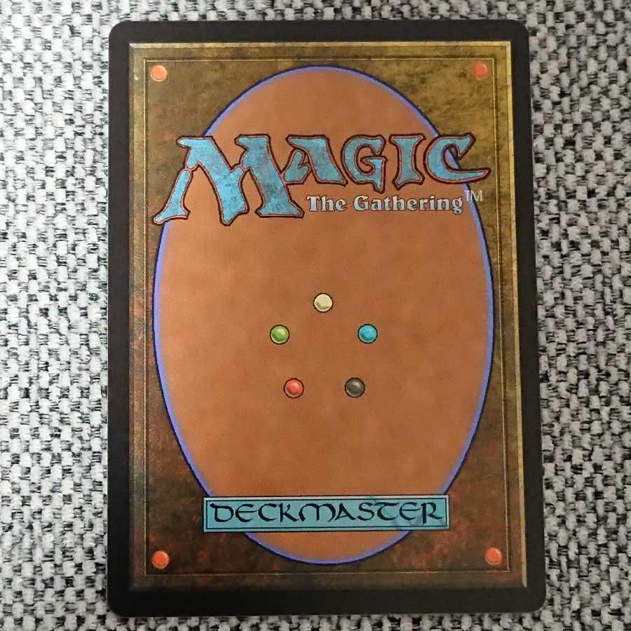 [専用]巨大ゴキブリ様 夢の巣のルールス