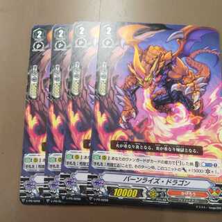 バーンライズ・ドラゴン 4枚