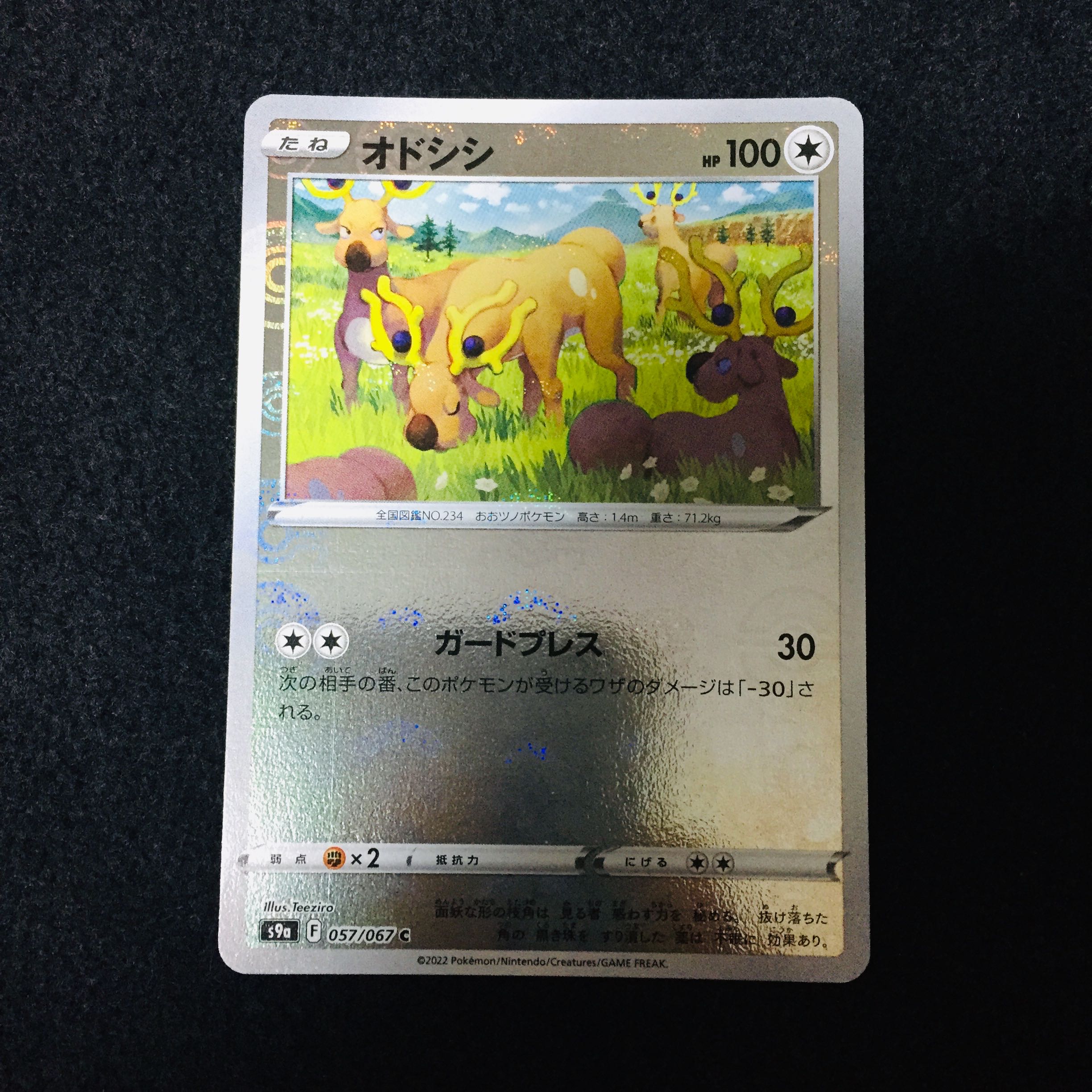 Stantler (Miller) C 057/067