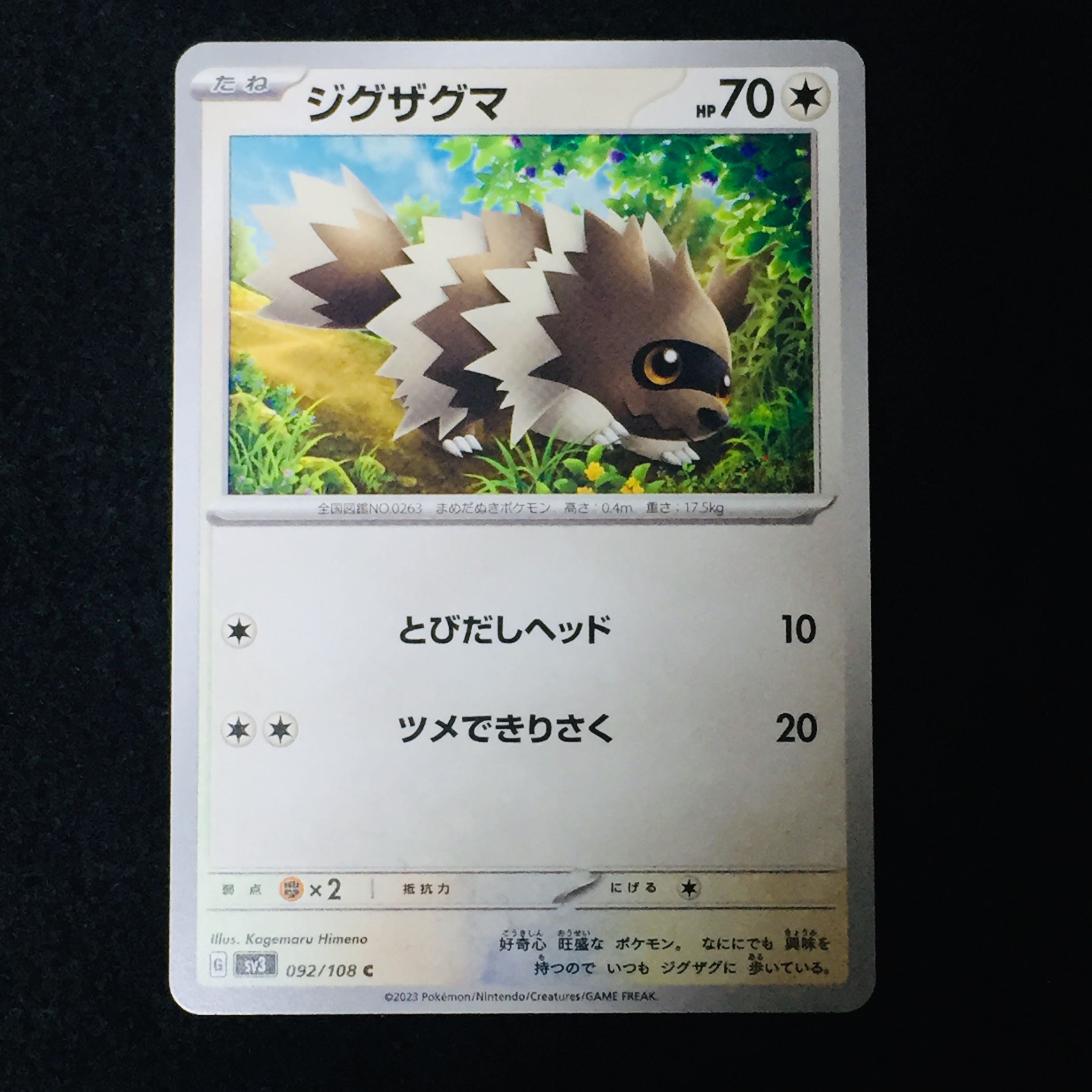 Zigzagoon C 092/108