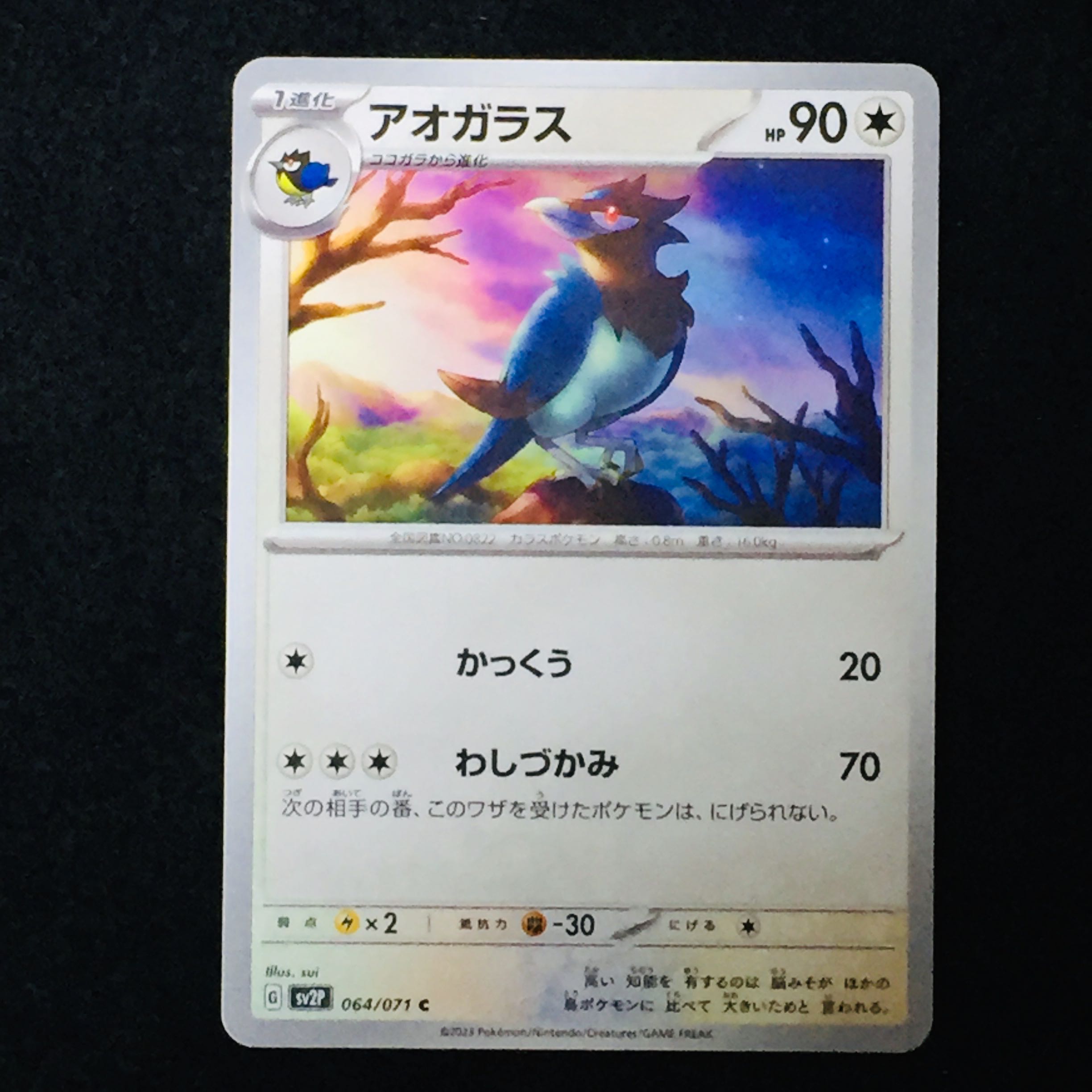 アオガラス C 064/071の通販 ましゅ （1440223935） | magi