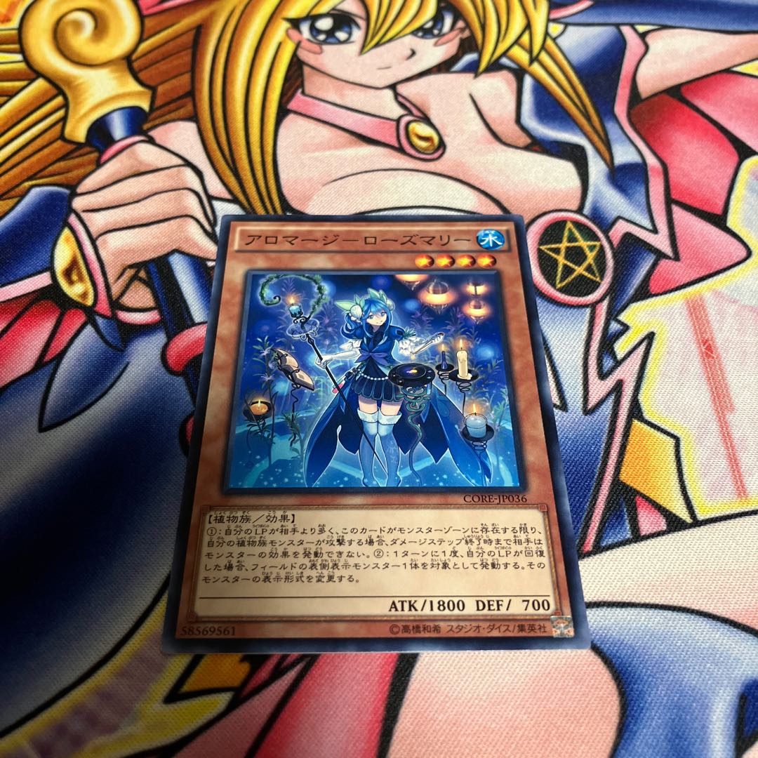 Aromage - Rosemary Normal JP036