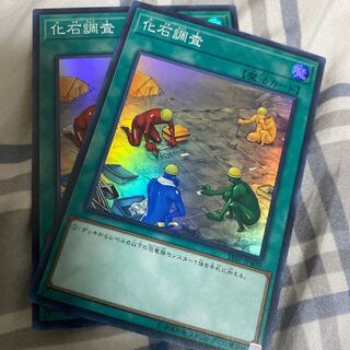 化石調査 スーパー2枚