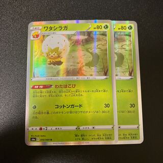 ワタシラガ R 010/069