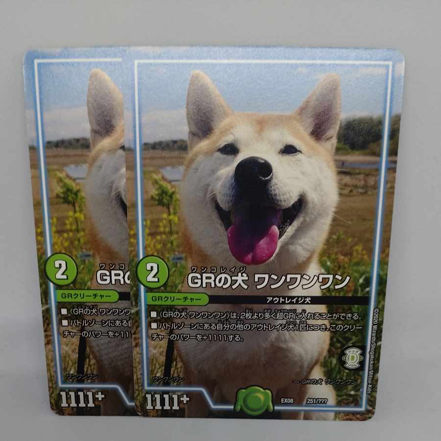 GR's dog One One One 251/?????