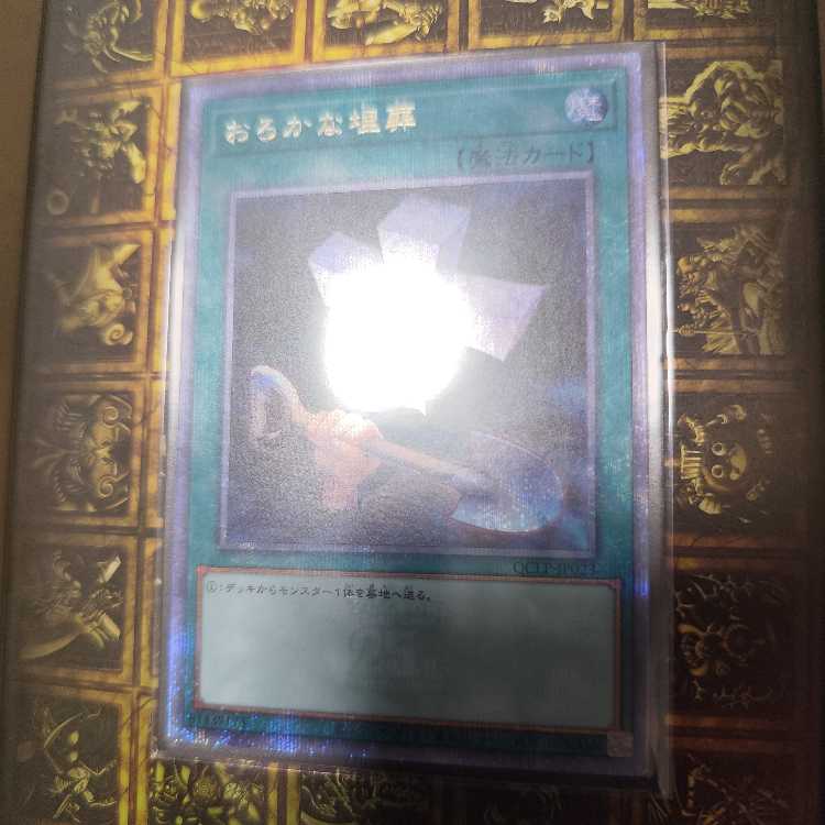 Foolish Burial qcse Quarter Century Secret