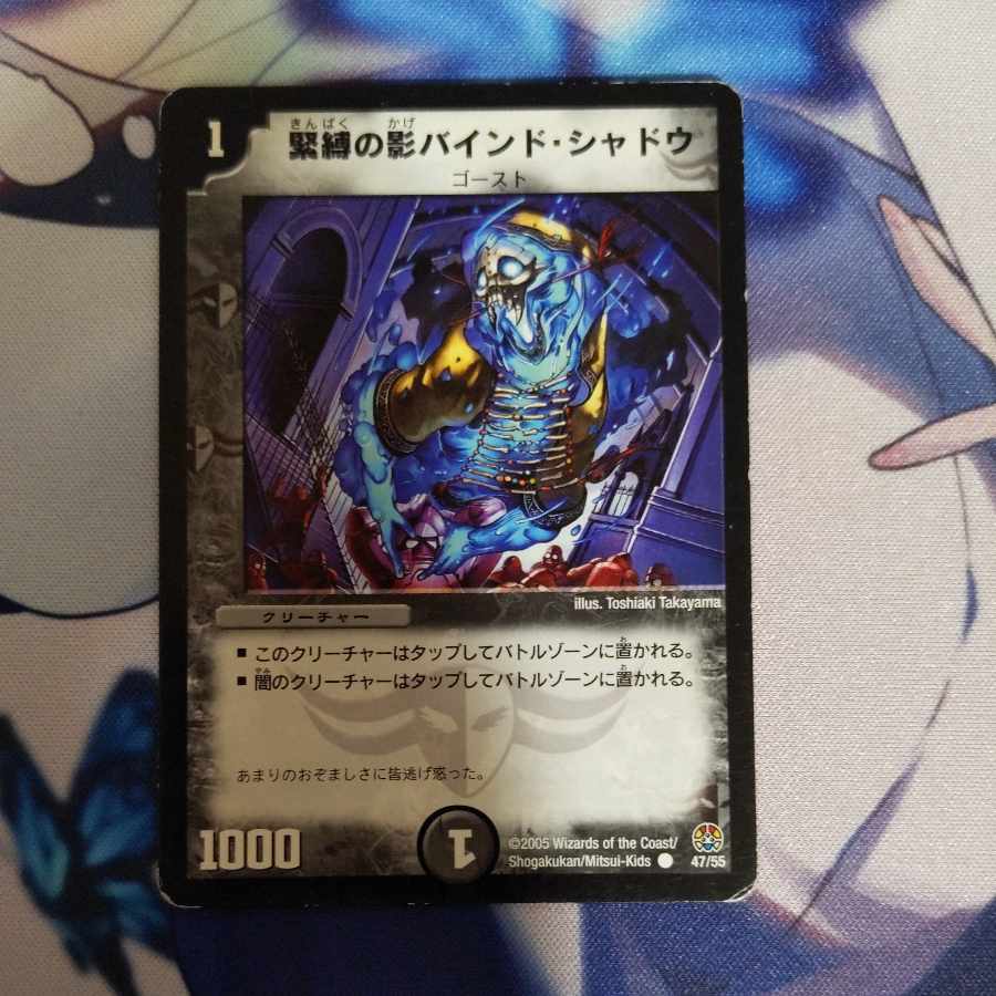 Shadow bound shadow in bondage C 47/55 1 copy