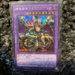 Predaplant Dragostapelia Secret Rare JP028