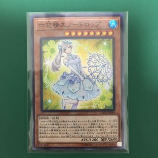 六花精スノードロップ SR