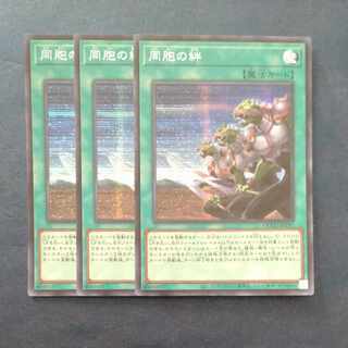 Ties of the Brethren Secret Rare QCCU-JP197✕3 [Korindo