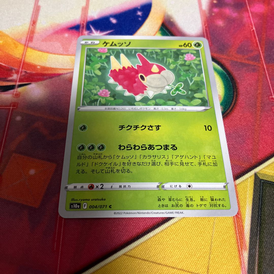 ケムッソ C 004/071