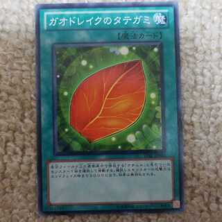 ガオドレイクのタテガミ