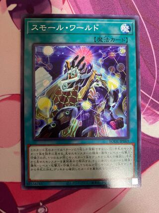 Small World Normal rare JP069