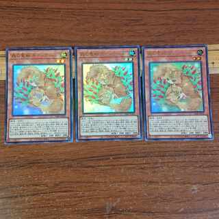 森の聖獣 キティテール ウルトラレア 3枚