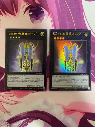 No.39 希望皇ホープ