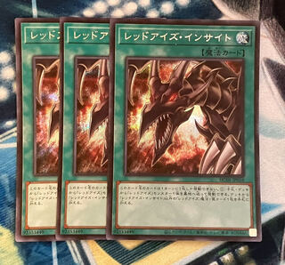 Red-Eyes Insight Secret Rare JP010
