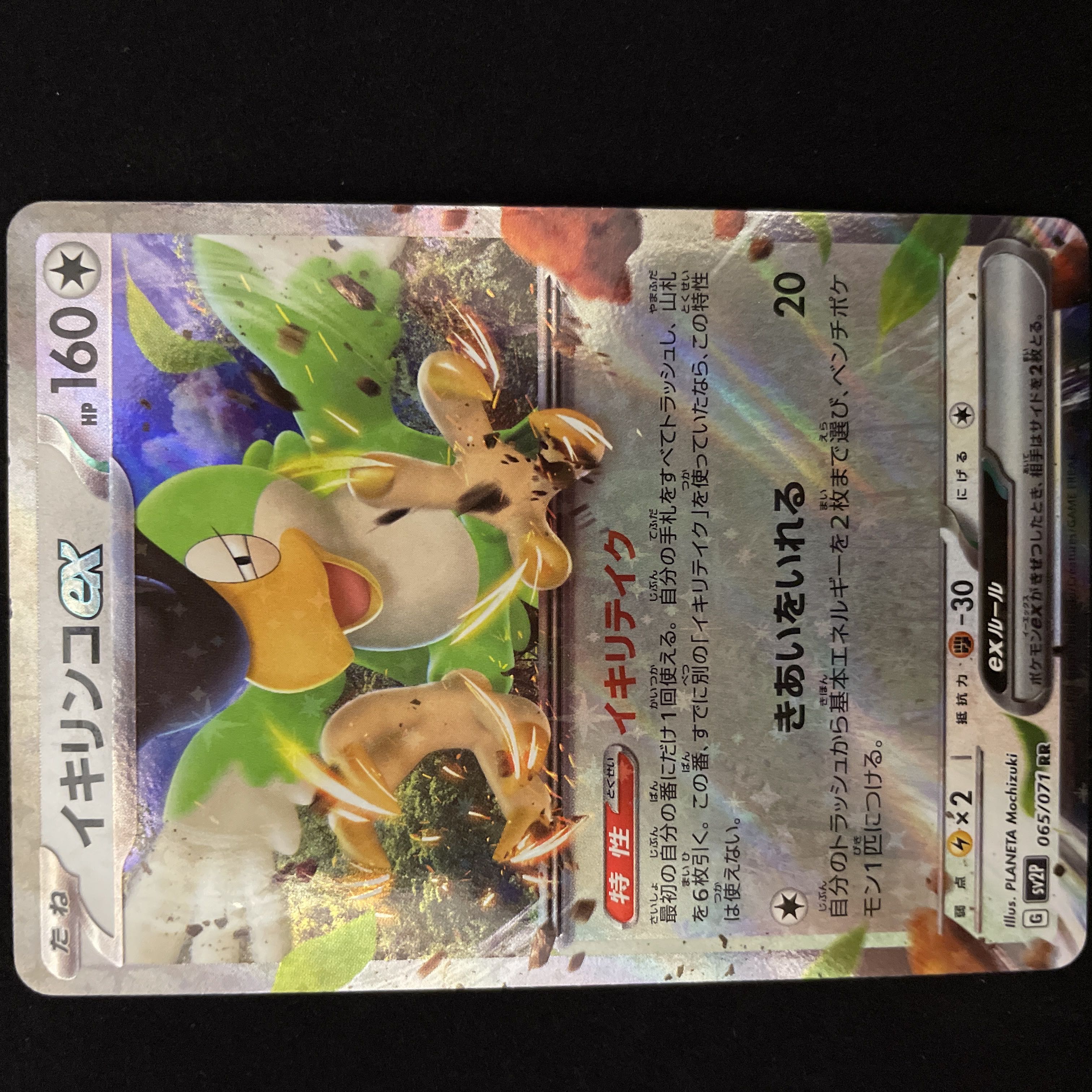 Ikirinko ex RR 065/071 Pokémon Card