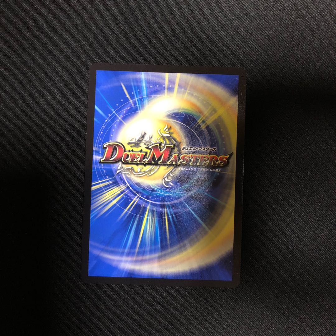 ry様専用 ドマンモ龍樹