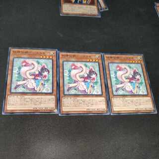 Fairy Princess-SHIRAYUKI Normal JP015