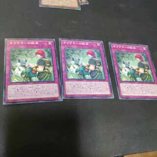 Subterror Succession Normal JP040