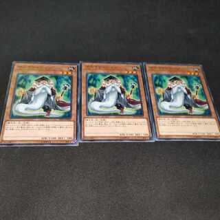 Mathematician Normal JP020