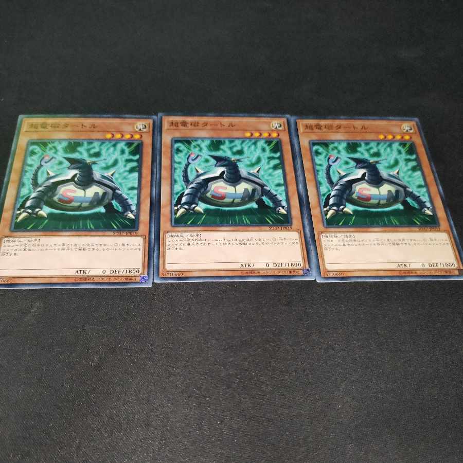 Electromagnetic Turtle Normal JP019