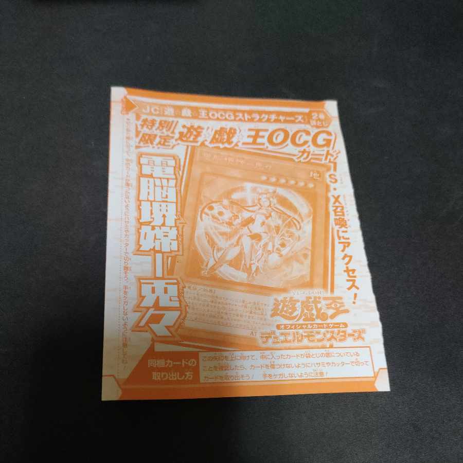 Dennoukai Chang-Usagi