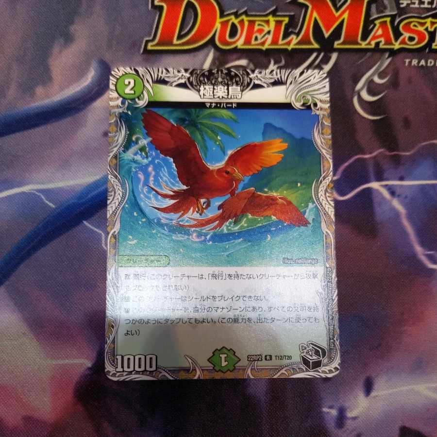 Birds of Paradise (Black Treasure) R T12/T20 1 piece