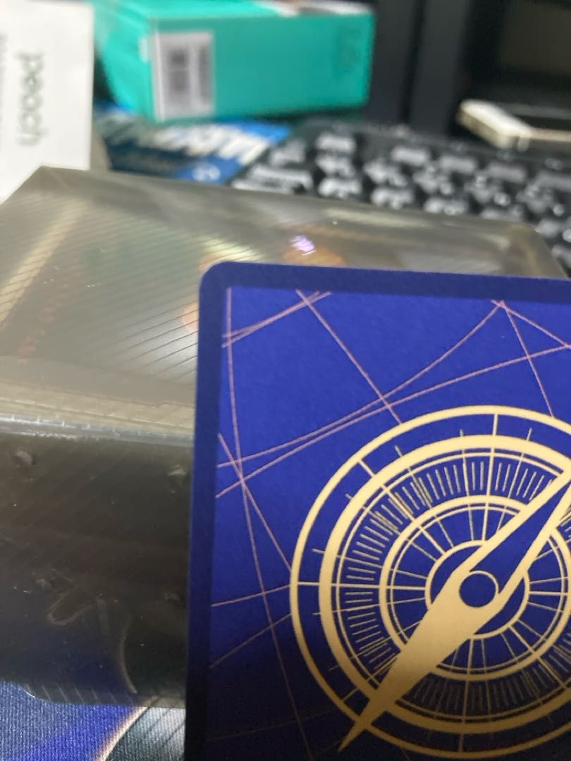 One Piece 500 Years in the Future Portgas D Ace SEC Secret