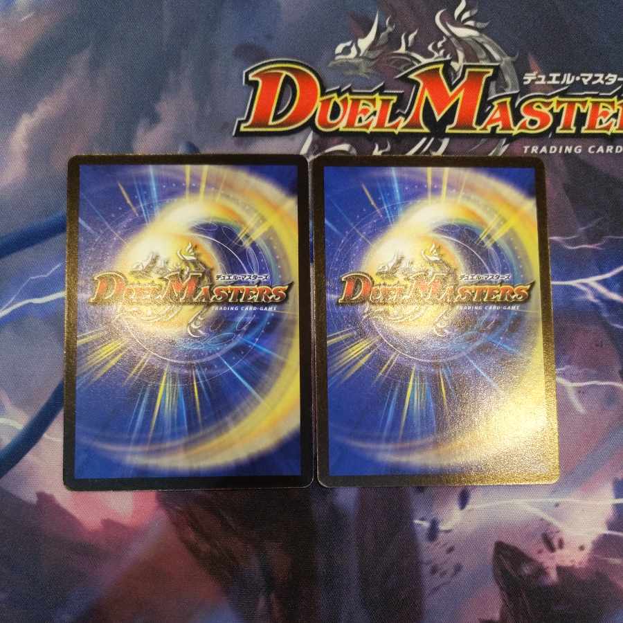 Shadow bound shadow in bondage C 47/55 2 copies