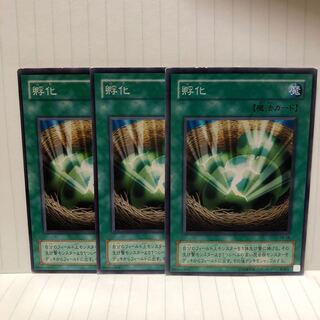 孵化　ノーマル　3枚　マホ子