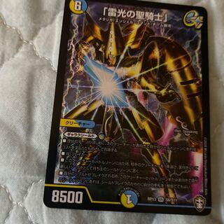 「雷光の聖騎士」専用