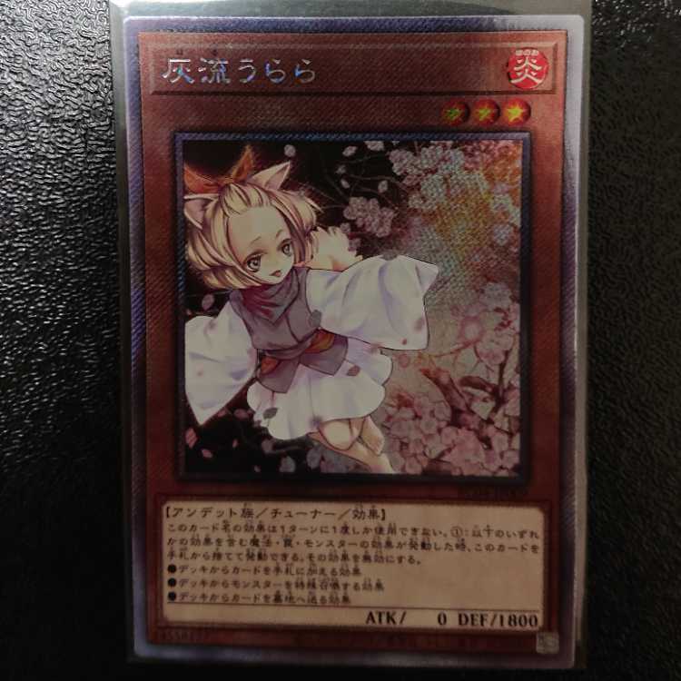 Ash Blossom & Joyous Spring EXSE JP009