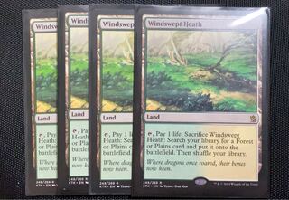 吹きさらしの荒野　4枚セット