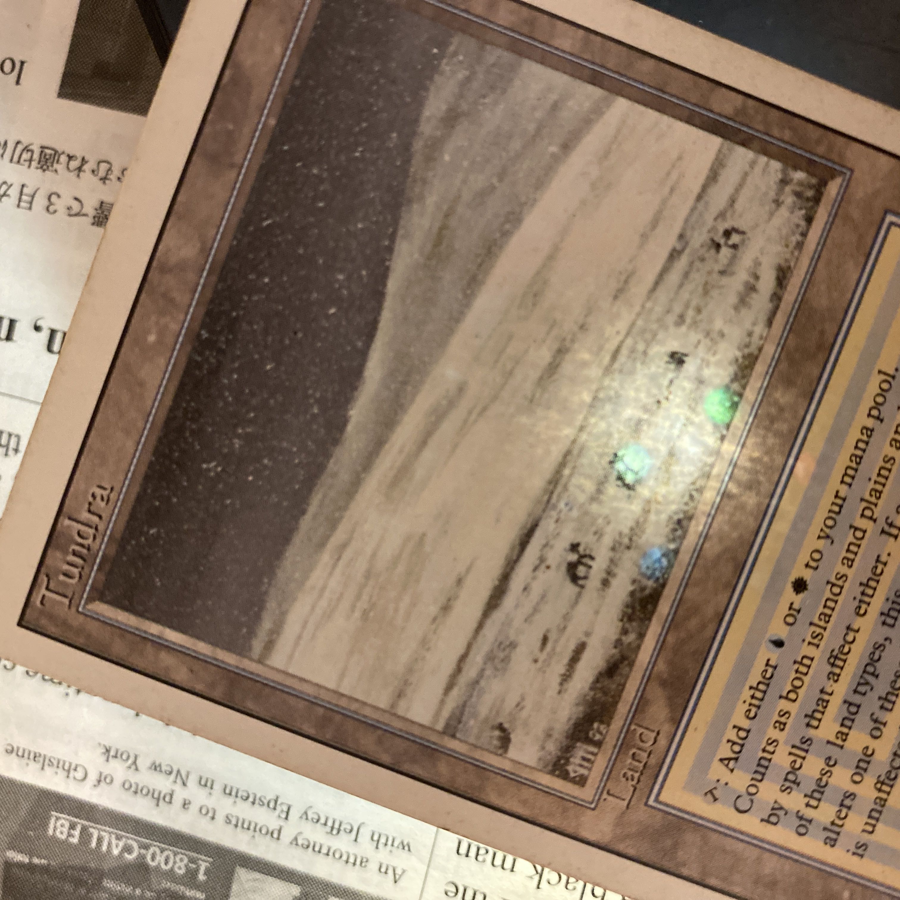 MTG Tundra 英語 デュアルランドの通販 Rey（410158980） | magi