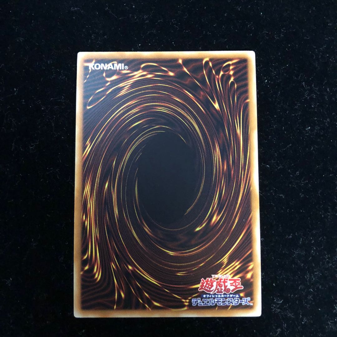 遊戯王 天輪の双星道士 SE